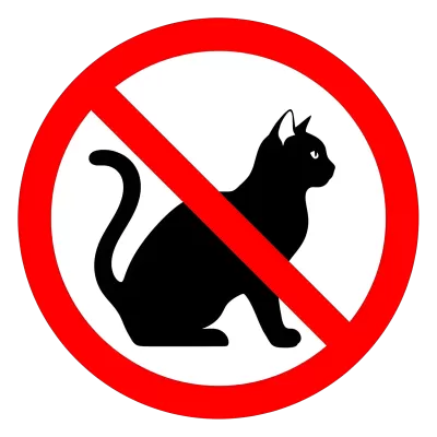 Imagen PNG para descargar